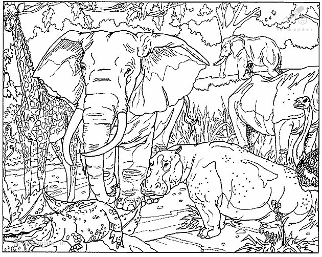 1001 Kleurplaten Dieren Olifant Kleurplaat Olifant Dieren Kleurplaten Mandala Kleurpl