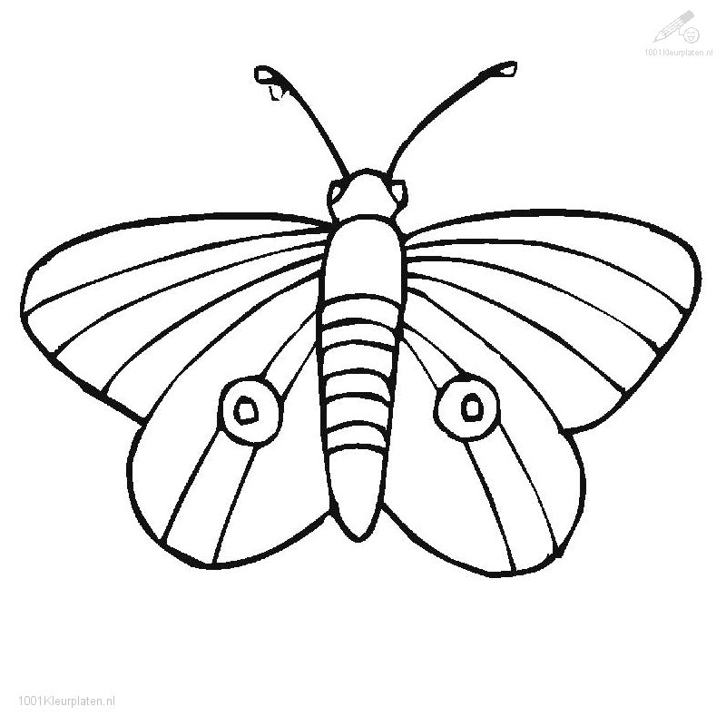 1001 Kleurplaten Dieren Vlinder Kleurplaat Vlindertje Dieren Vlinders Kleurplaten