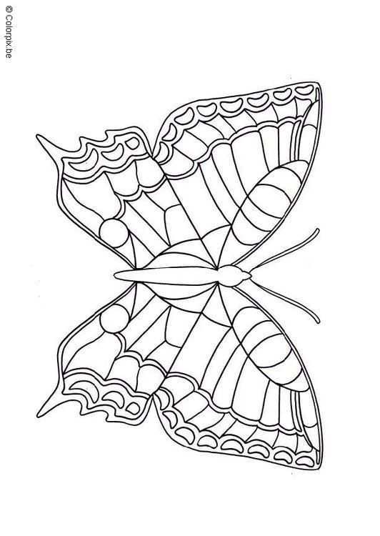 Kleurplaat Vlinder Afb 6834 Vlinder Tekening Dieren Kleurplaten Kleurplaten