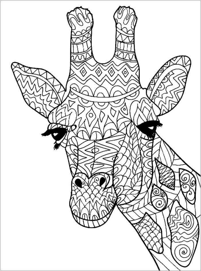 1001 Seiten De Coloriage Anti Stress Pour Garder L Esprit Positif Giraffe Coloring Pa