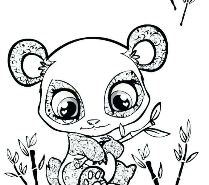678x600 Cute Baby Animal Coloring Pages Panda Coloring Pages Owl Coloring Pages Bear