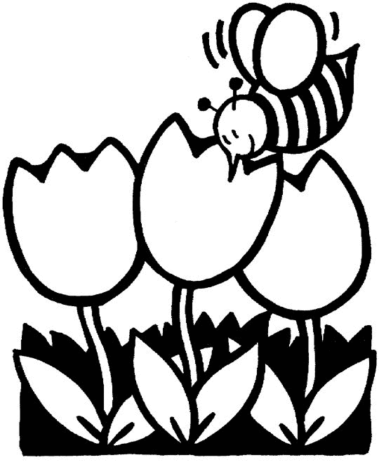 Flowers And Bees That S Spring Dieren Kleurplaten Bloem Kleurplaten Boek Bladzijden K