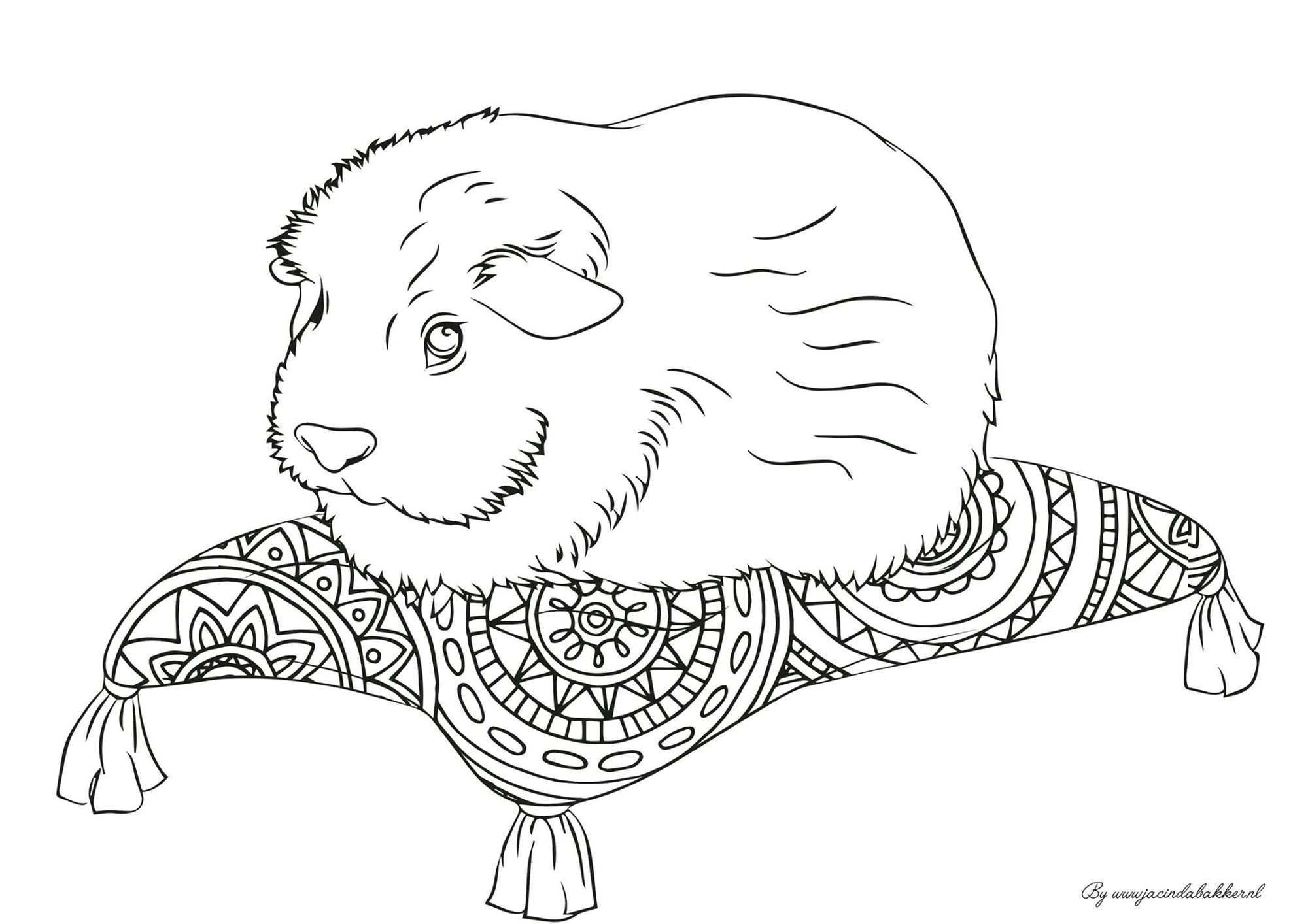 Pin By Anu Hellstrom On Varitettavia Coloring Books Animals Bugs Coloring Pages