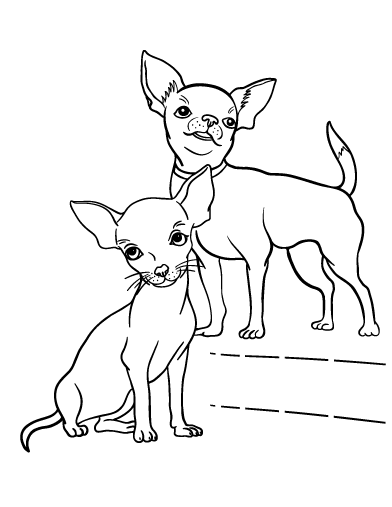 Free Chihuahua Coloring Page Coloriage Animaux Coloriage Dessin