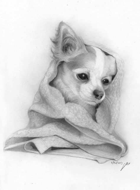 Pin By Annette On Kleurplaten Voor Volwassenen Pencil Portrait Dog Drawing Animal Ske