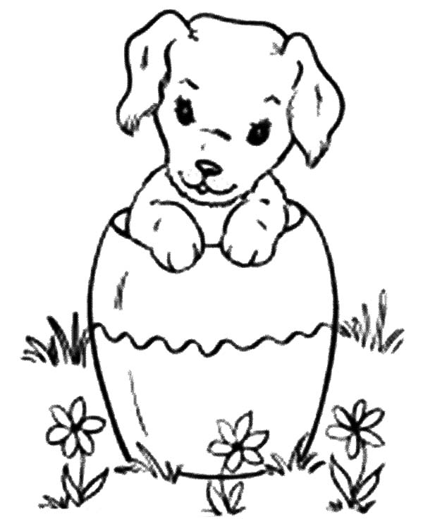 Chihuahua Dog Inside Pottery Coloring Pages Netart In 2020 Dog Coloring Page Coloring