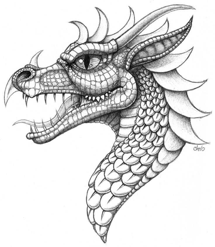 Pin By Karin Van Iersel On Kleurplaten Dragon Drawing Dragon Coloring Page Dragon Art