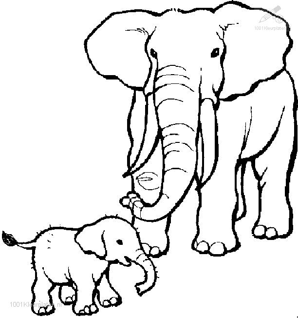 1001 Kleurplaten Dieren Olifant Kleurplaat Olifant Elephant Coloring Page Animal Colo