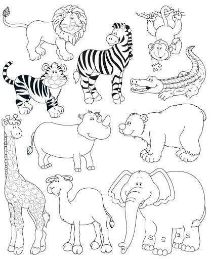 Picasa Web Albums Sonia 1 Patterns Dierentuindieren Dieren Kleurplaten Wilde Dieren