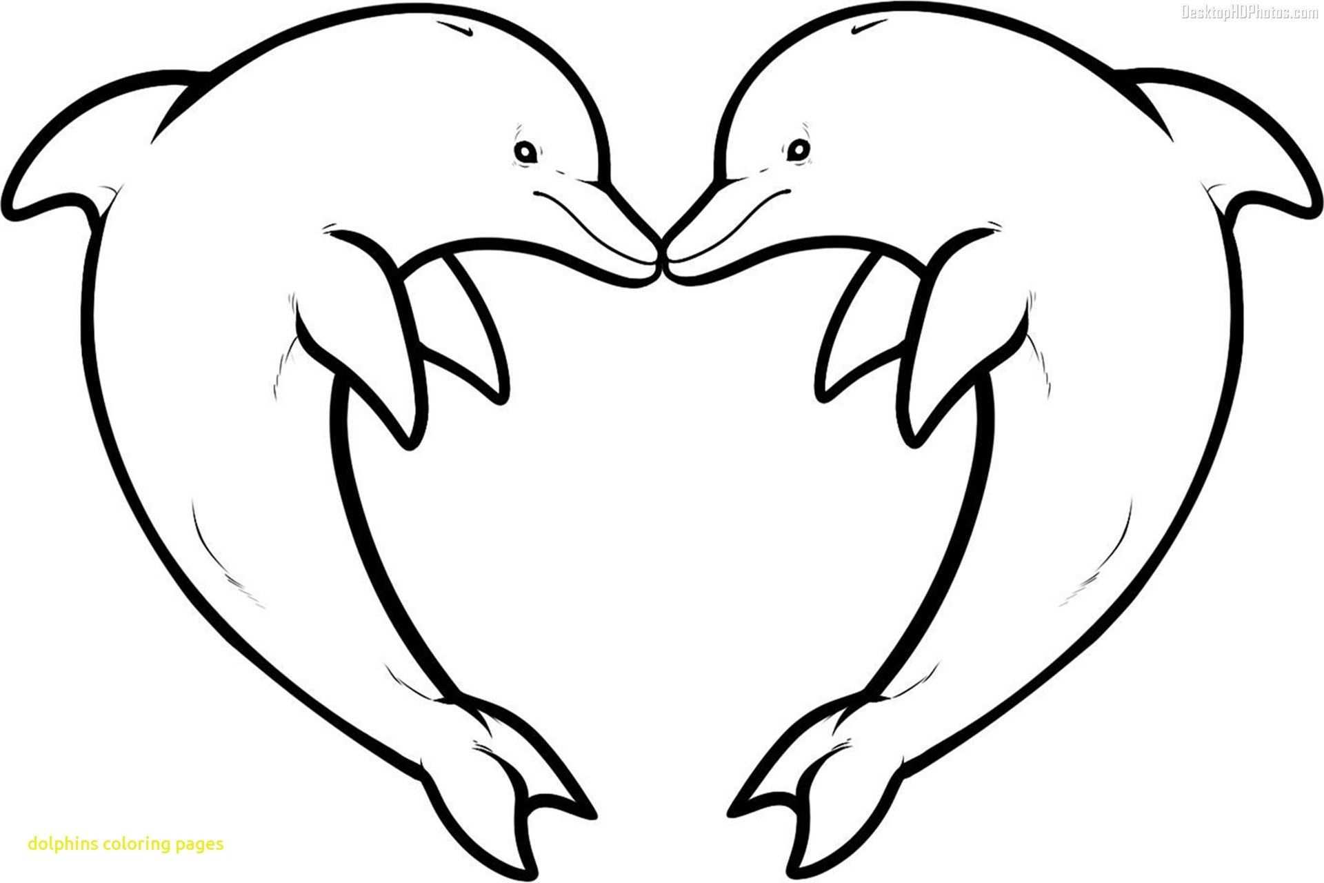 Charming Ideas Dolphin Coloring Page Realistic Baby Dolphin Coloring Pages Fiscalrefo