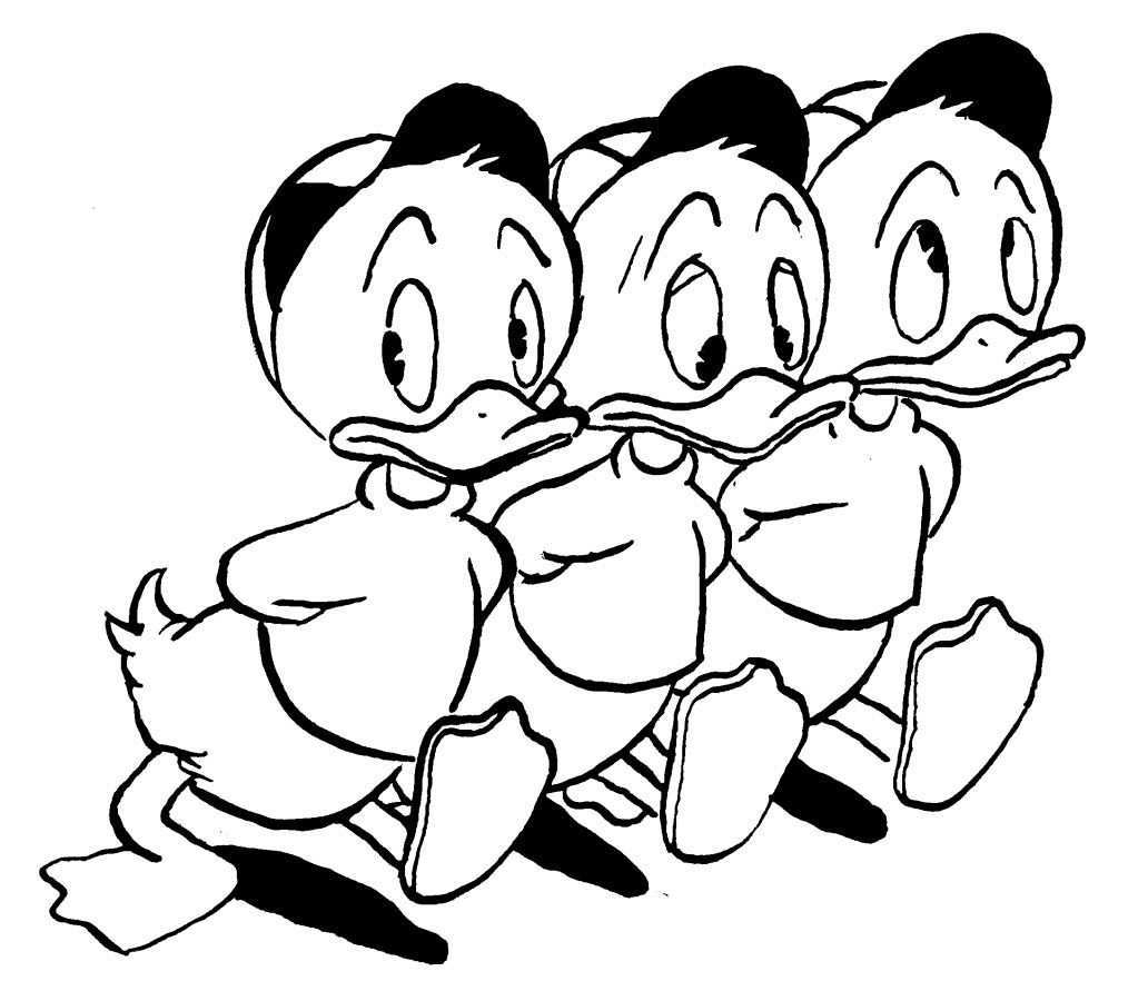Flock Voorbeeld Kwik Kwek En Kwak Cartoon Tekeningen Tekenen Disney Tekenen