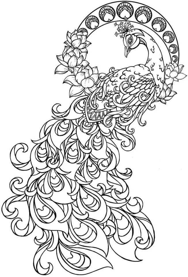 Pin By Conny On Beautiful Creatures Birds Peacock Coloring Pages Flower Coloring Page