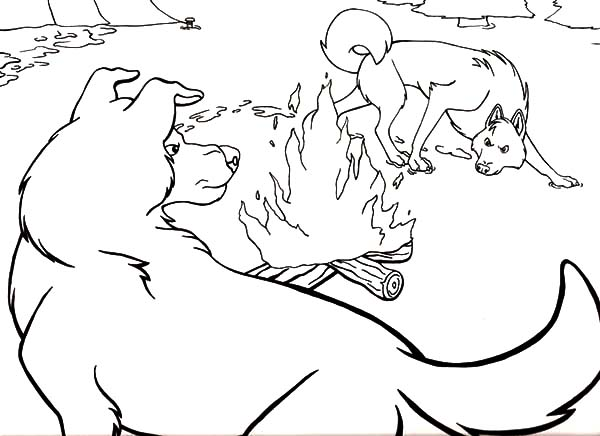Call Of The Wild Coloring Pages Coloring Sun In 2021 Coloring Pages Call Of The Wild