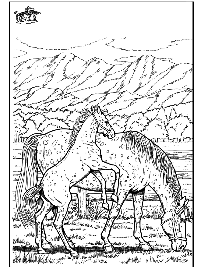 Pin On Horse Coloring Pages