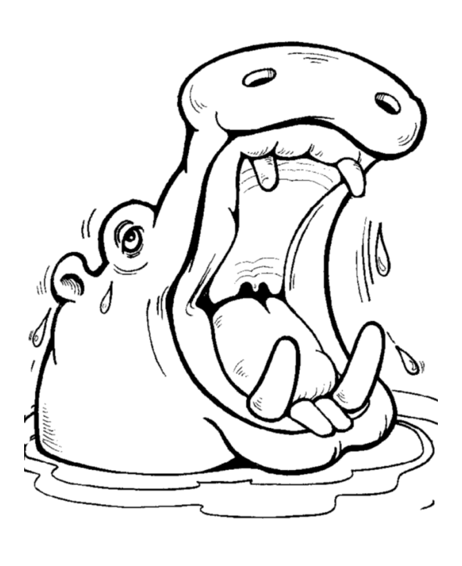 Happy Hippo Wild Animal Coloring Pages Hippopotamus Coloring Page And Kids Activity S