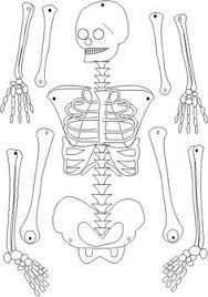 Afbeeldingsresultaat Voor Halloween Kleurplaten Skelet Knutselen Halloween Skeletten