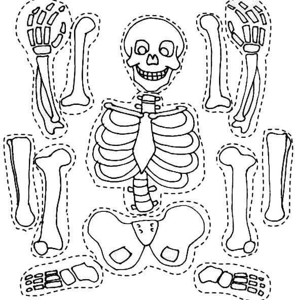 Skeleton And His Bones Part Coloring Page Jpg 582 592 Skeleton Craft Human Body Activ