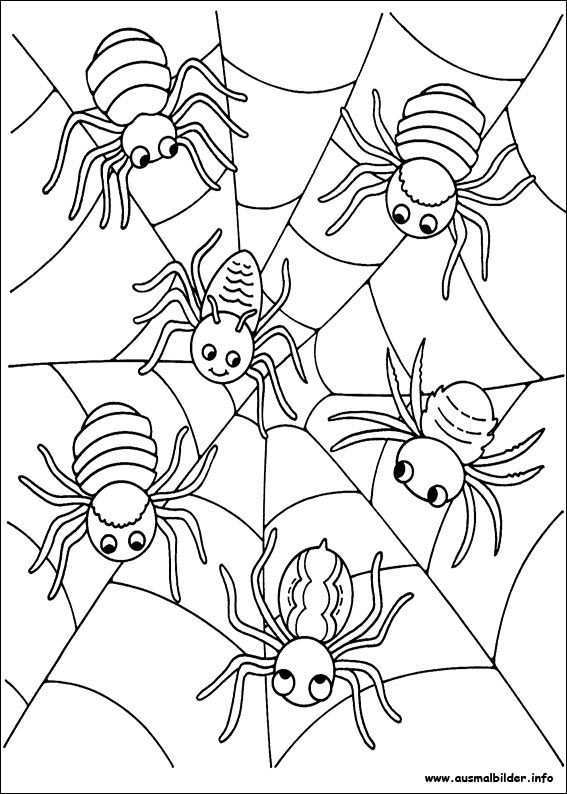 Kleurplaat Spinnen Herfstwerkjes Herfst Halloween Spinnenweb
