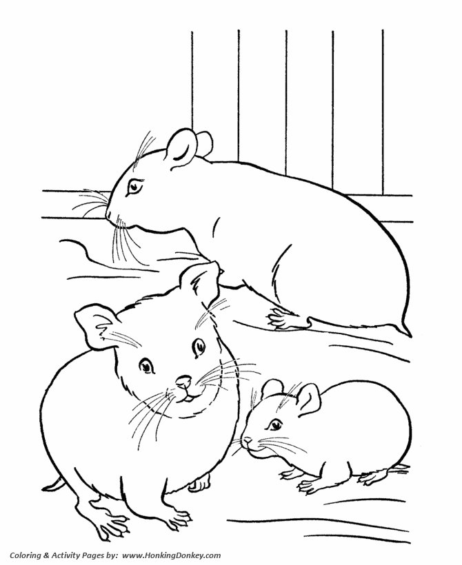Pet Coloring Page A Family Of Hamsters In A Cage Animal Coloring Pages Bear Coloring