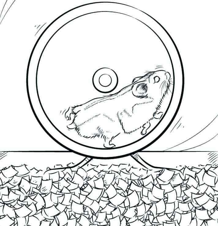 Hamster Coloring Pages Best Coloring Pages For Kids Animal Coloring Pages Snake Color