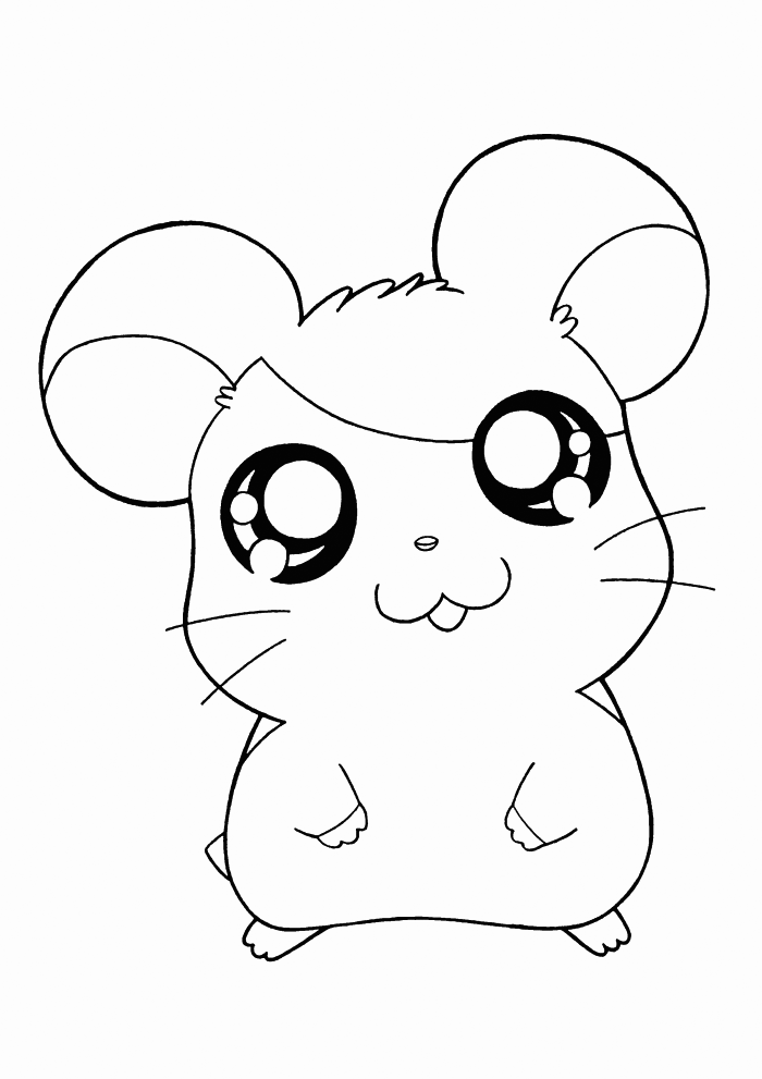 Hamster Coloring Pages Best Coloring Pages For Kids Pokemon Coloring Pages Animal Col
