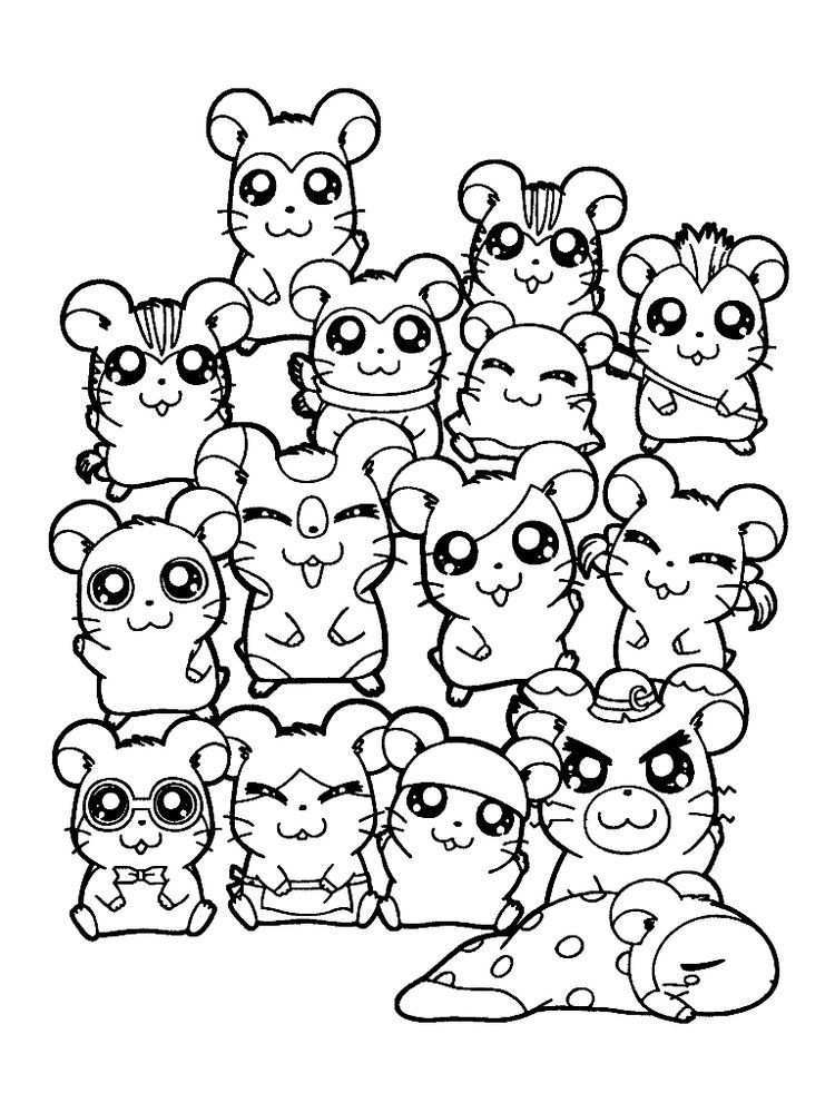 Hamster Coloring Pages To Print Hamsters Small Animals That For Some People Look Like