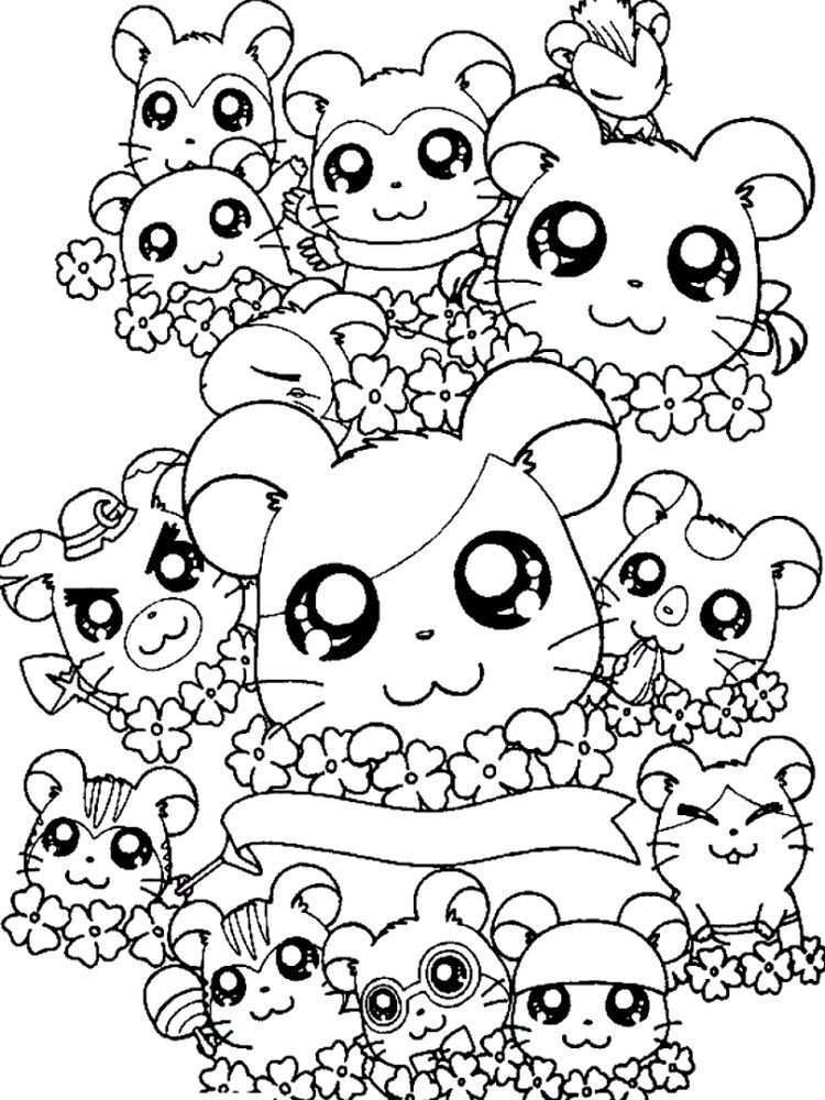 Kawaii Hamster Coloring Pages Hamsters Small Animals That For Some People Look Like M