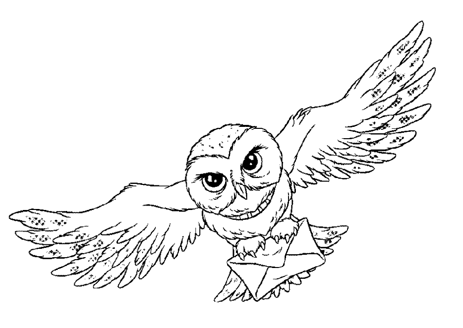 Coloring Page Owl Animal Coloring Pages 12 Harry Potter Coloring Pages Harry Potter Colors Harry Potter Owl