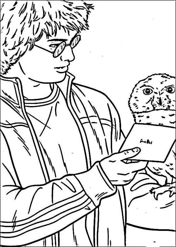 Harry Potter Coloring Pages 37 Harry Potter Colors Harry Potter Coloring Pages Harry Potter Portraits