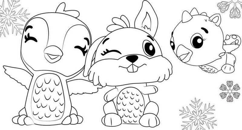 Bunwee Cloud Draggle And Giggling Penguala From Hatchimals Coloring Page Mermaid Colo
