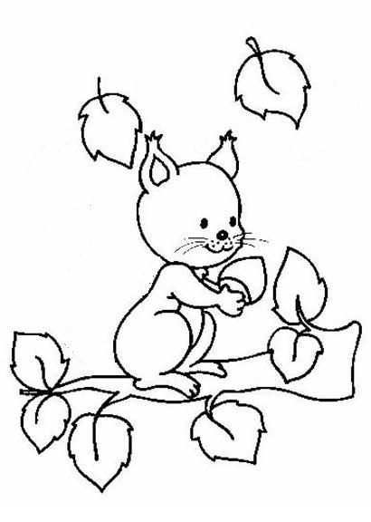 Kleurplaat Eekhoorn Coloring Pages Embroidery Designs Art