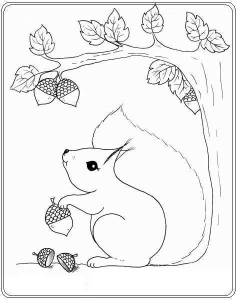 Eekhoorn Fall Coloring Pages Coloring Pages Squirrel Coloring Page