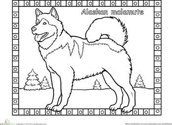 Alaskan Malamute Coloring Page Coloring Pages Horse Coloring Pages Dog Coloring Page
