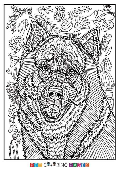 Free Printable Siberian Husky Coloring Page Quot Kyro Quot Available For Download Sim