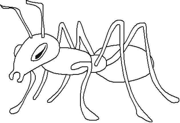 Ant Coloring Book Page Kleurplaten Mieren Insecten