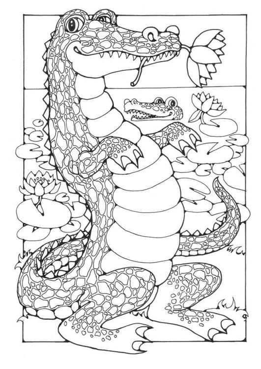 Coloring Page Crocodiles Coloring Picture Crocodiles Free Coloring Sheets To Print An