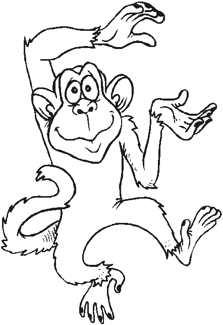 Rainforest Monkey Coloring Pages Animal Coloring Pages Coloring Pictures Of Animals J