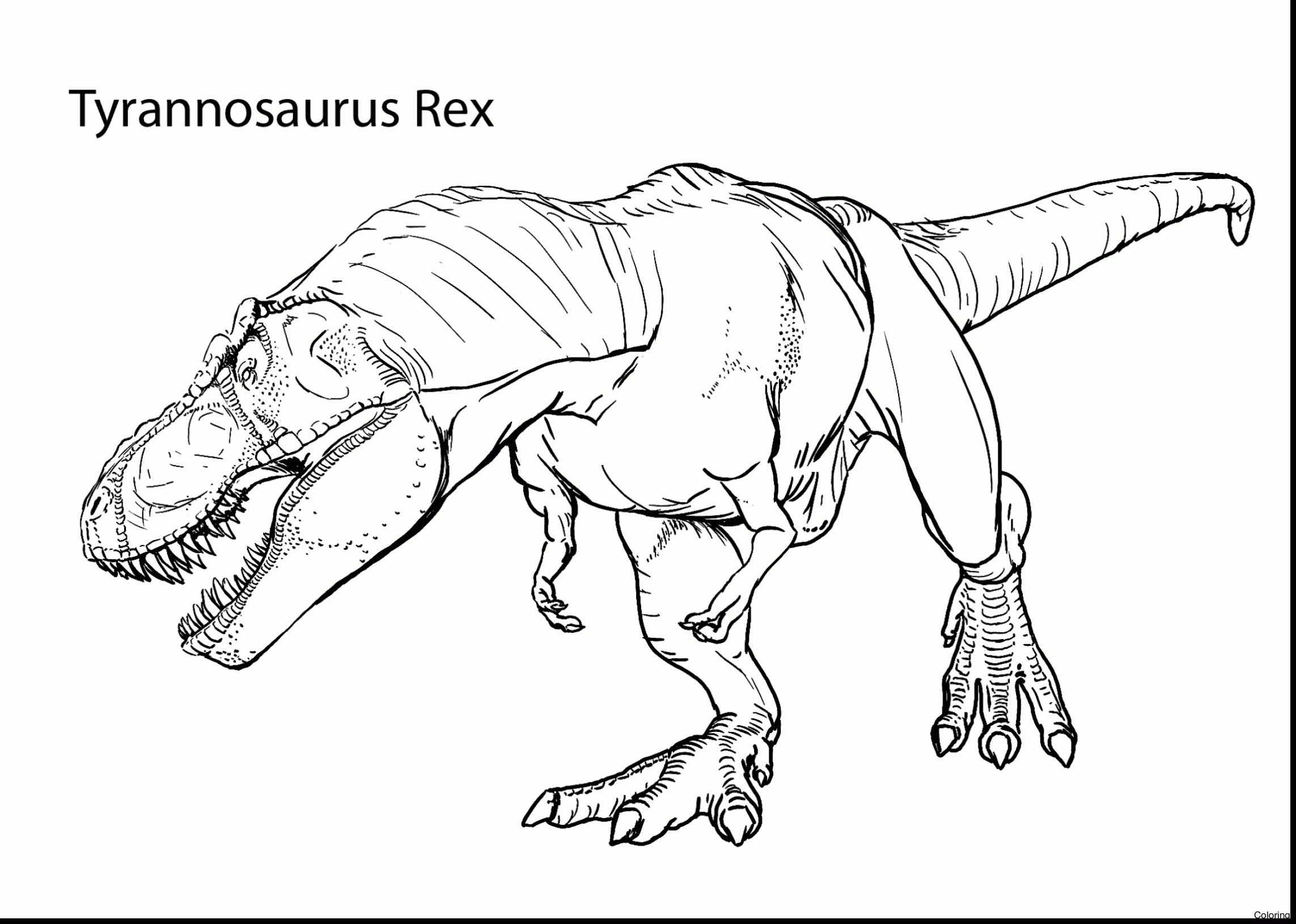 Afbeeldingsresultaat Voor Kleurplaten T Rex Kleurplaten Mandala Kleurplaten Dinosauru