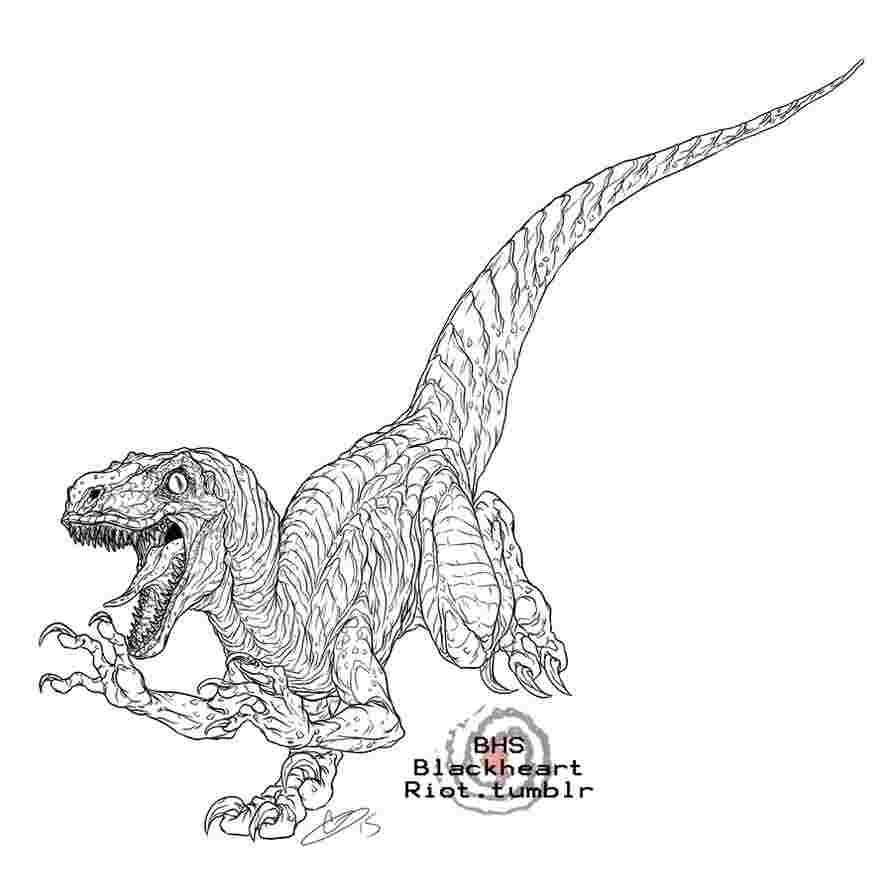 Jurassic World Blue Raptor Coloring Pages Production Was Completed In May 2015 And Ju