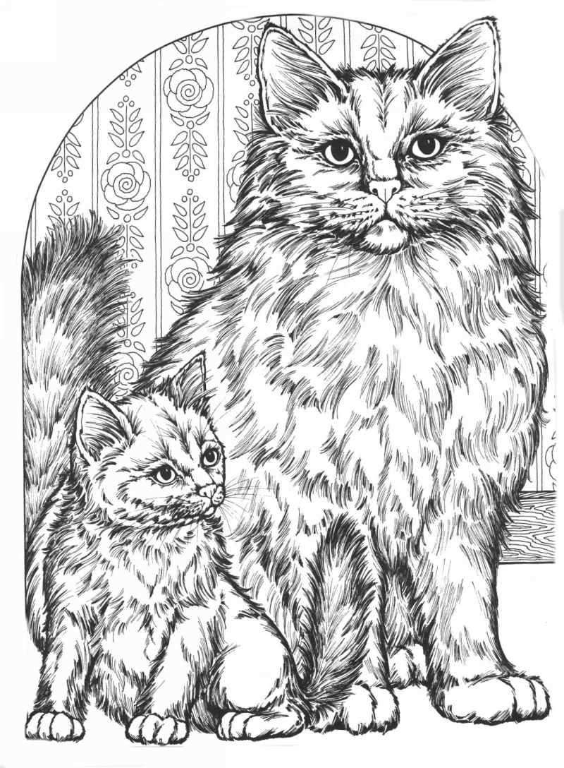 Pin By Paula Baha On Coloring Pages Cat Coloring Page Animal Coloring Pages Coloring