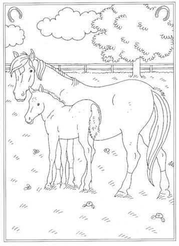 Kids N Fun Com 24 Coloring Pages Of At The Stables Horse Coloring Pages Animal Colori