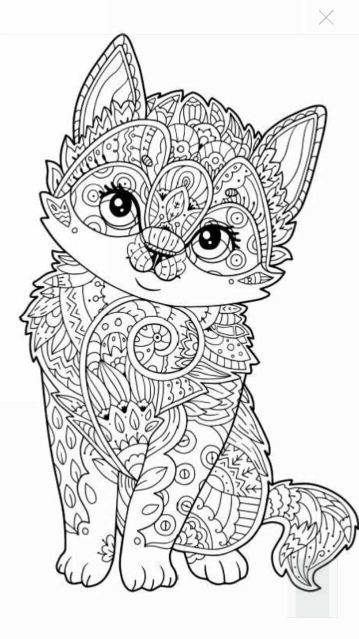 Cute Kitten Coloring Page Dog Coloring Page Cat Coloring Page Mandala Coloring Pages