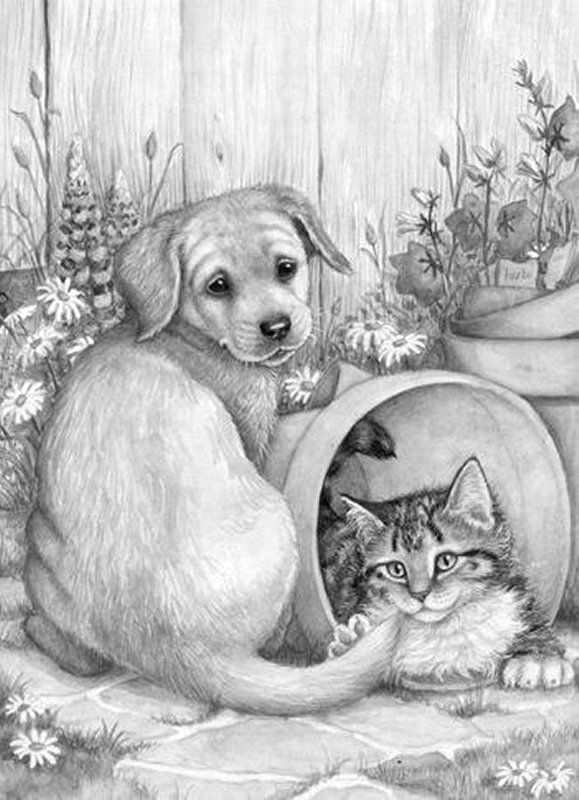 Puppy And Kitten Grayscale Coloring Dog Coloring Page Animal Drawings
