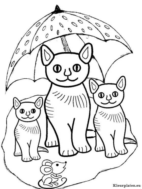Afbeeldingsresultaat Voor Tekeningen Poezen Kleurplaten Poesjes Katten