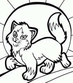 Free Domestic And Wild Cats Coloring Pages And Cats Coloring Books Cats Kittens Kitti