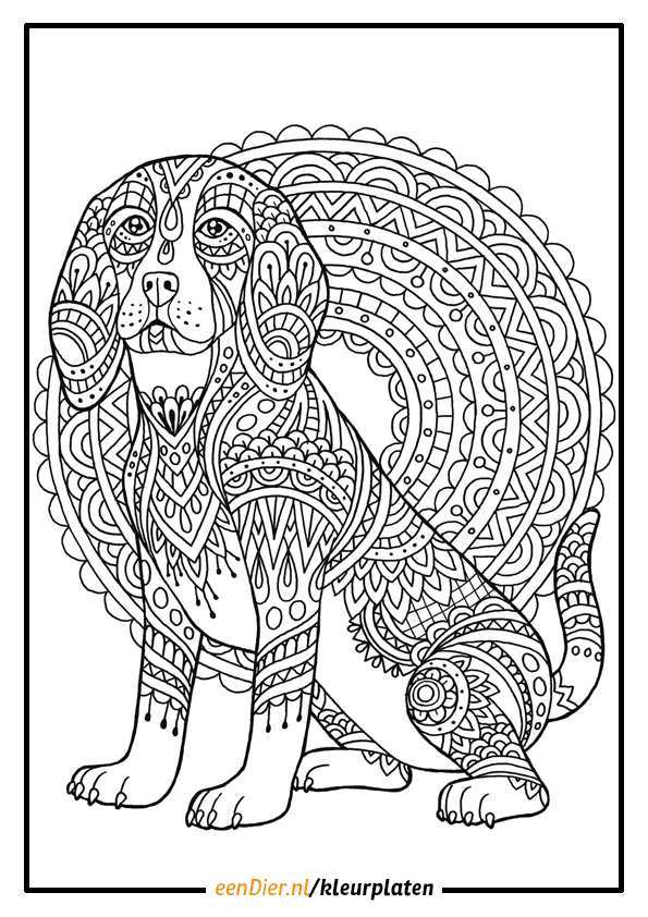 Hond Schattige Dieren Kleurplaten Moeilijk Coloring And Drawing
