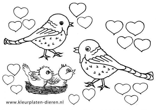 Hartjes Kleurplaat Vogels Kleurplaten Dieren Dieren Kleurplaten Kleurplaten Dieren Pa