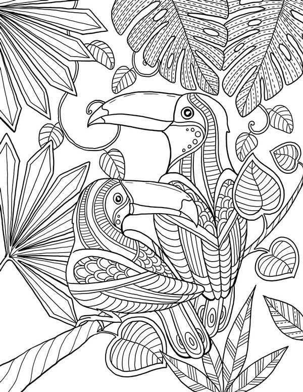 Pour Me Donner Des Ailes Coloring Book Agenda 2015 Mandala Kleurplaten Kleurplaten Kl