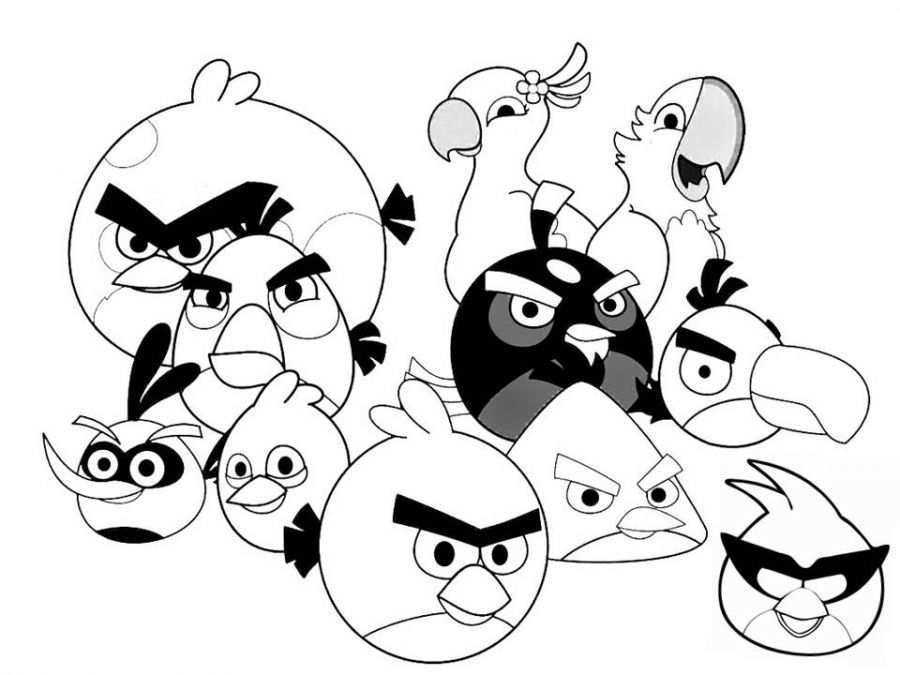 The Angry Birds Family Printable Coloring Pages For Children Letscolorit Com Bird Coloring Pages Angry Bird Pictures Coloring Pages