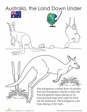 Animals Of Australia The Land Down Under A Set Of 12 Free Printable Coloring Pages Fr